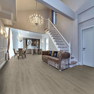Concorde Oak